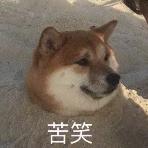 看着如今柬埔寨对中国人的态度，不禁感到心寒。